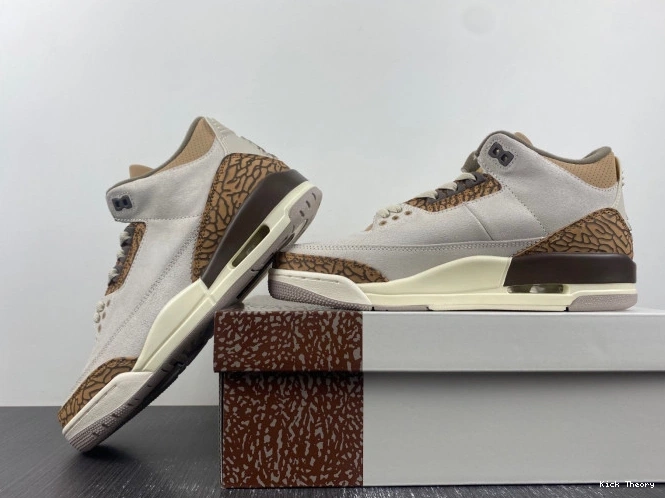 Kicktheory 3 Air Jordan Palomino CT8532-102 0815